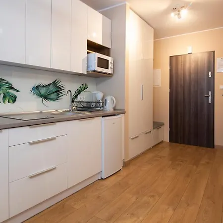 Apartament - Studio Wisla Z Widokiem Na Gory Exterior photo