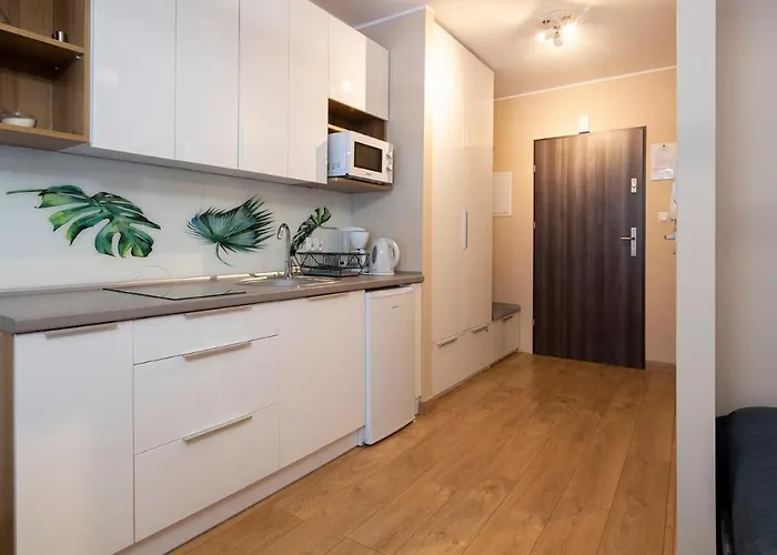 Apartament - Studio Wisla Z Widokiem Na Gory